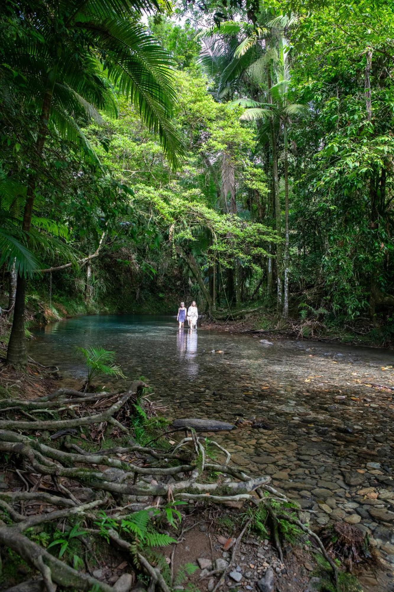 Heritage Lodge - In The Daintree Ngoại thất bức ảnh