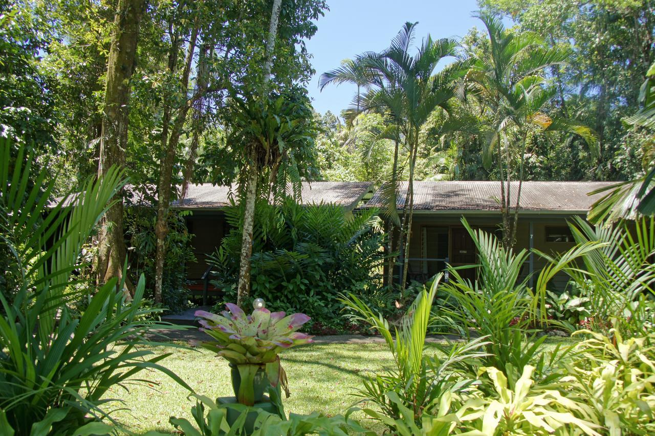 Heritage Lodge - In The Daintree Ngoại thất bức ảnh