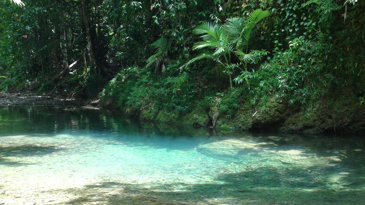 Heritage Lodge - In The Daintree Ngoại thất bức ảnh