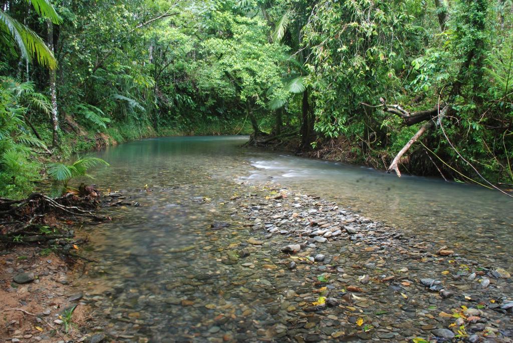Heritage Lodge - In The Daintree Ngoại thất bức ảnh